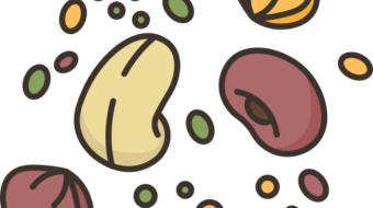 seeds icon
