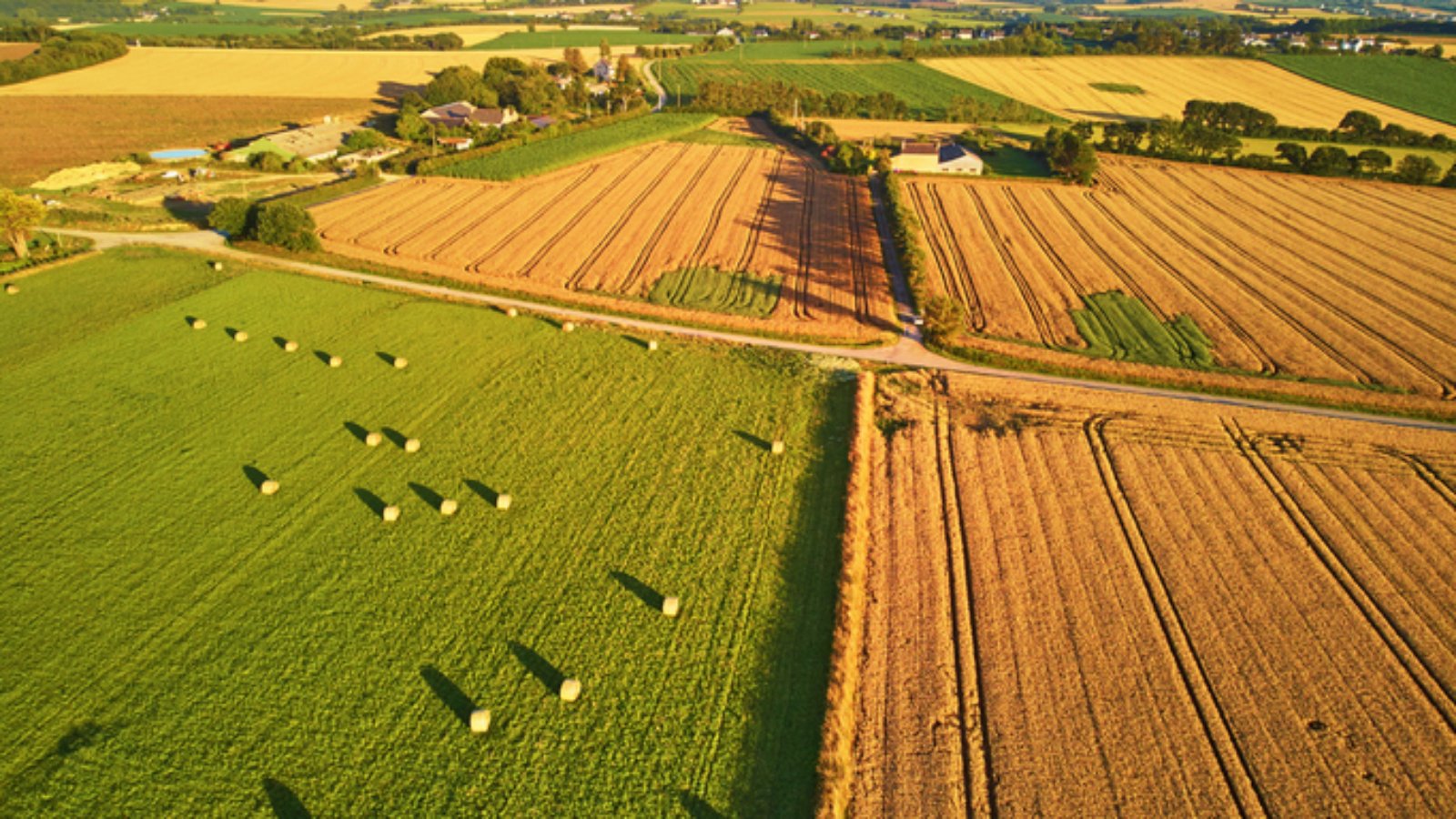 About agri