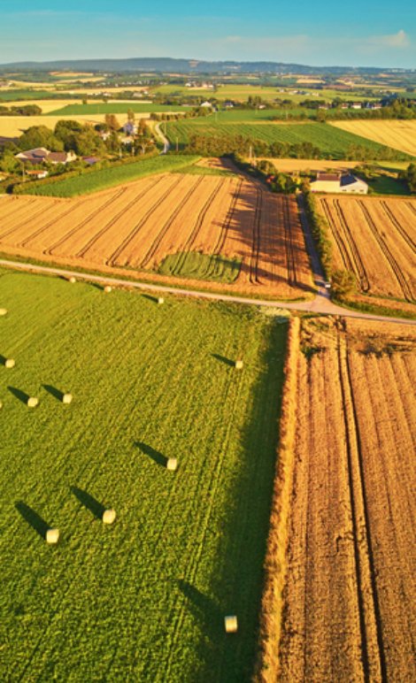 About agri